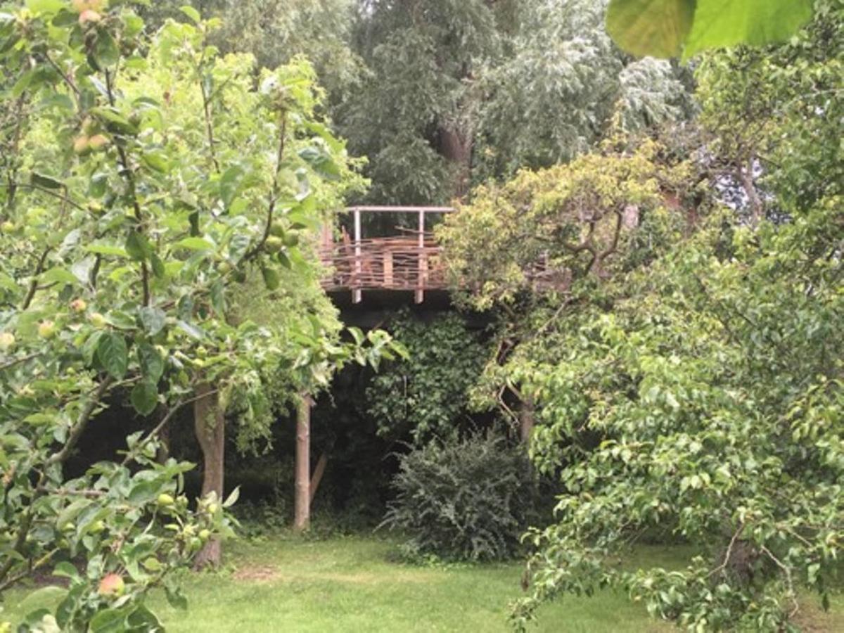 Treehouse B&B Rabjerg Exteriör bild