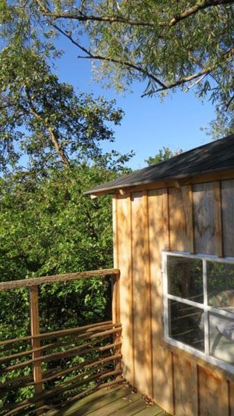 Treehouse B&B Rabjerg Exteriör bild